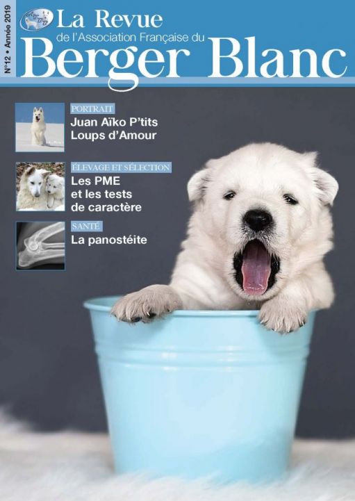 Revue du berger blanc suisse numero 12