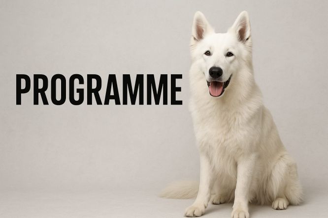 📋 Programme de la RE de Montaillé (72) 📋