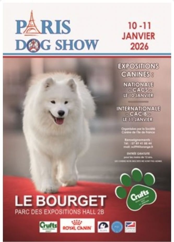 📆 Calendrier 📆