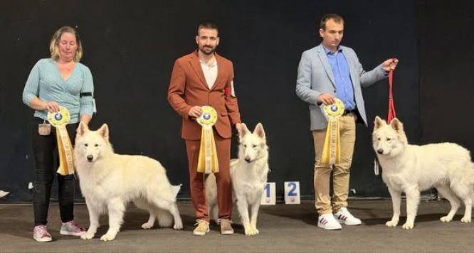 Spéciale de race ~ CACIB Rouen ~ 07 Décembre 2025  